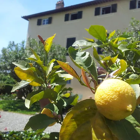 Farm stay Fattoria Gambaro Di Petrognano Collodi