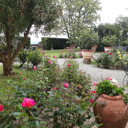 Fattoria Gambaro Di Petrognano *