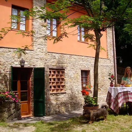 Fattoria Gambaro Di Petrognano Farm stay *