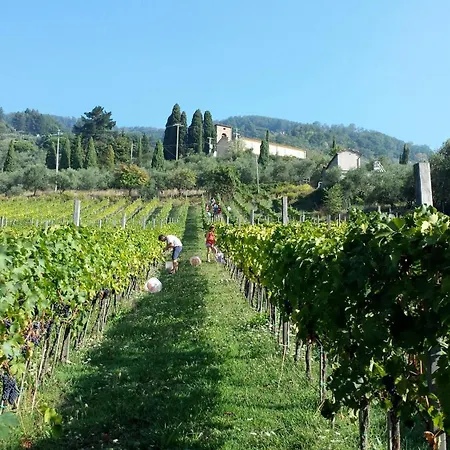 Fattoria Gambaro Di Petrognano
