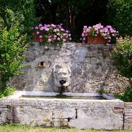 Fattoria Gambaro Di Petrognano *