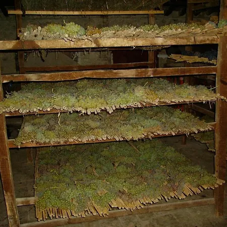 Fattoria Gambaro Di Petrognano Collodi