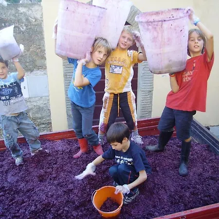 Farm stay Fattoria Gambaro Di Petrognano Collodi